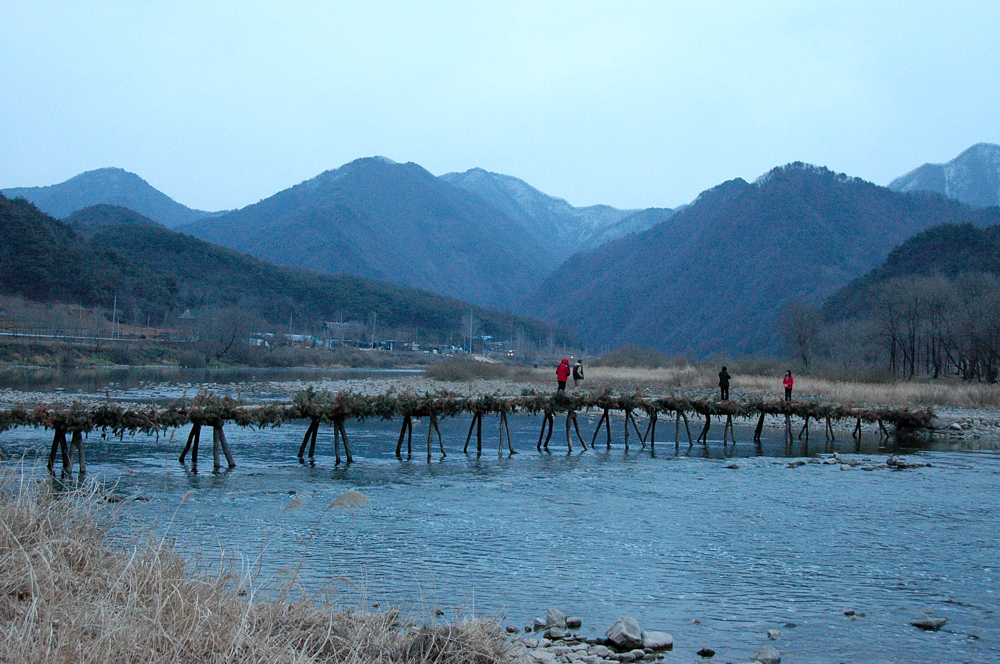 DSC_187-1.jpg