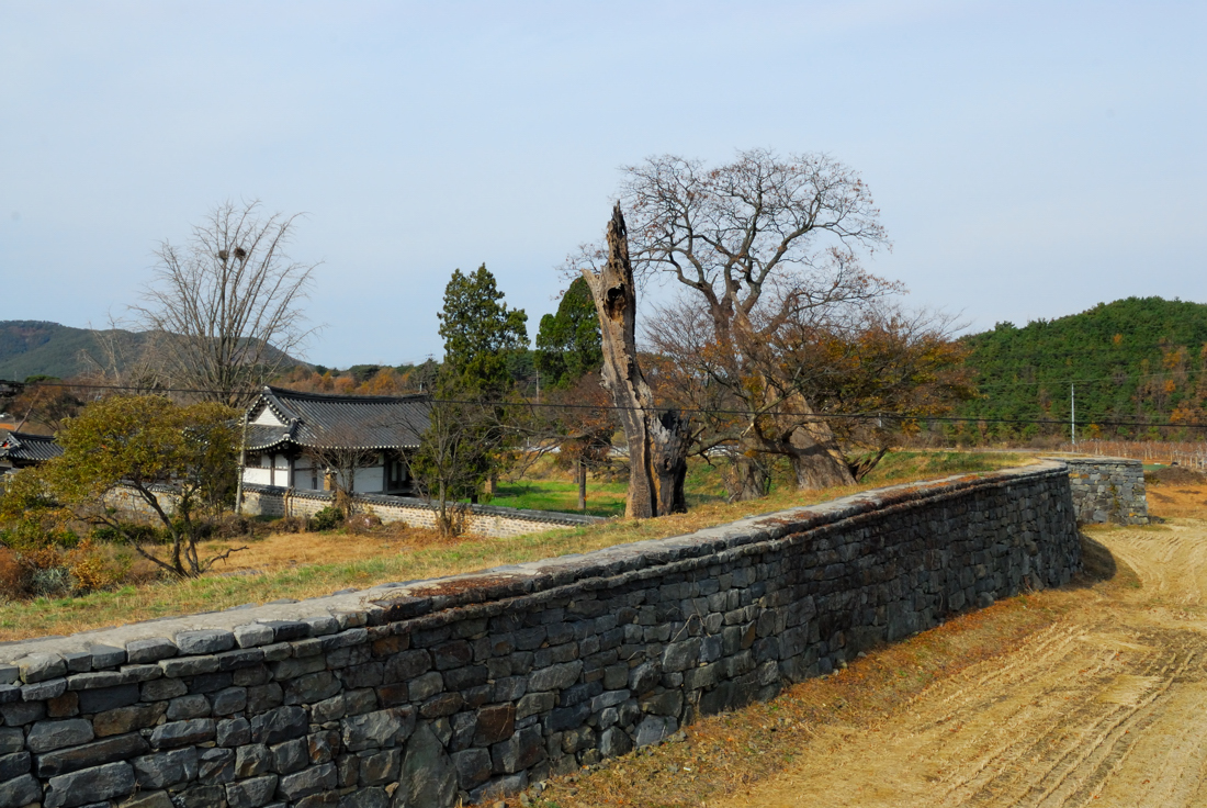 DSC_3288-1.jpg