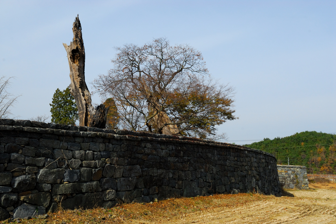 DSC_3283-1.jpg