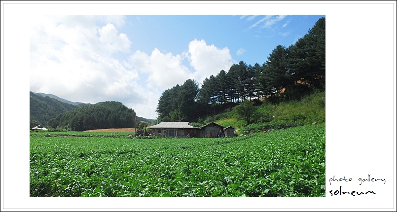 09-071 kumdae(0829) 115s.jpg
