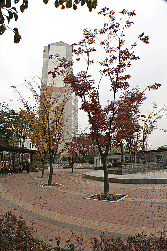 동네풍경11.jpg