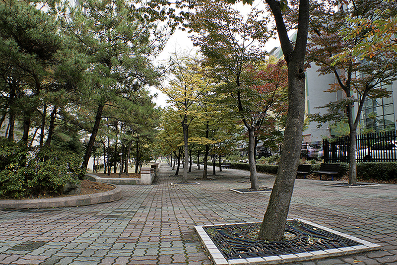 동네풍경6.jpg