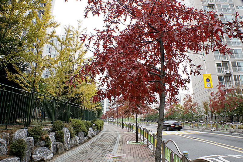 동네풍경14.jpg