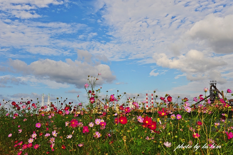 DSC_9494-1.jpg