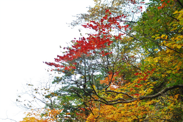 크기변환_DSC_0016.jpg