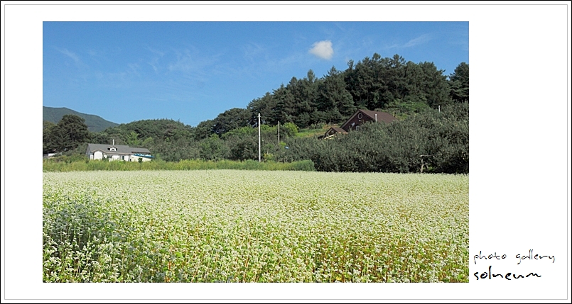 09-071 kumdae(0829) 082s.jpg