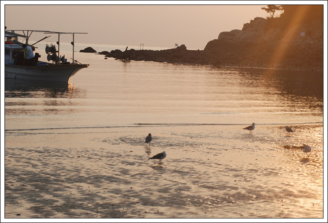 크기변환_DSC_0300.jpg