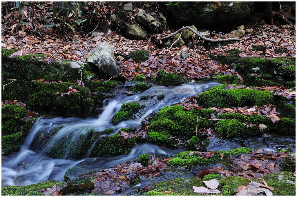 DSC_7361.jpg