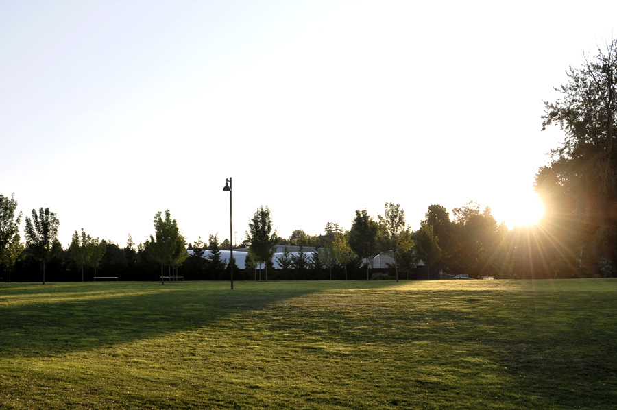 DSC_2729.jpg