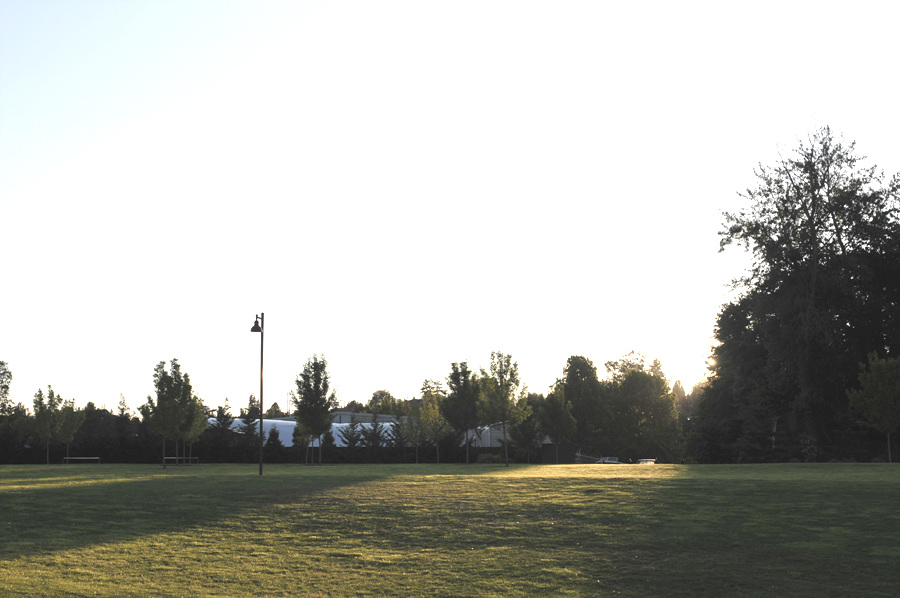 DSC_2728.jpg