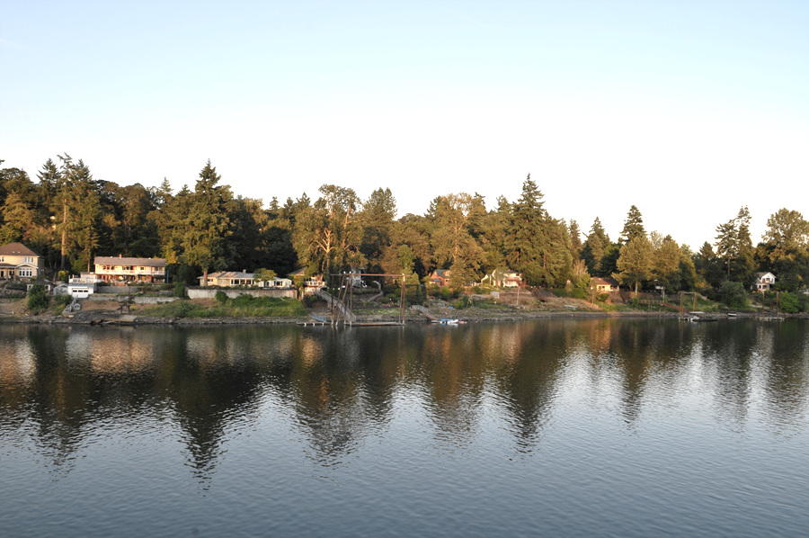 DSC_2736.jpg