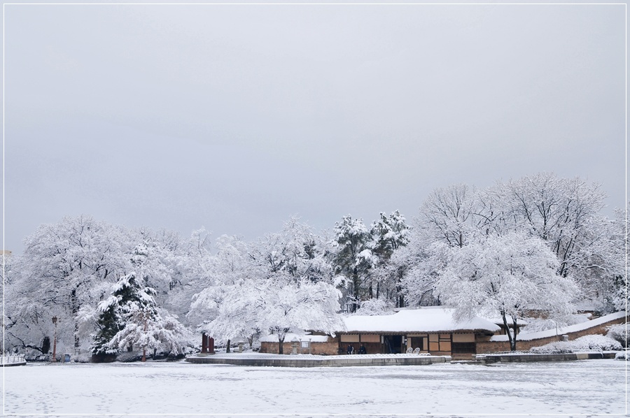 DSC_2328.JPG
