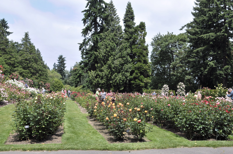 DSC_2443.JPG