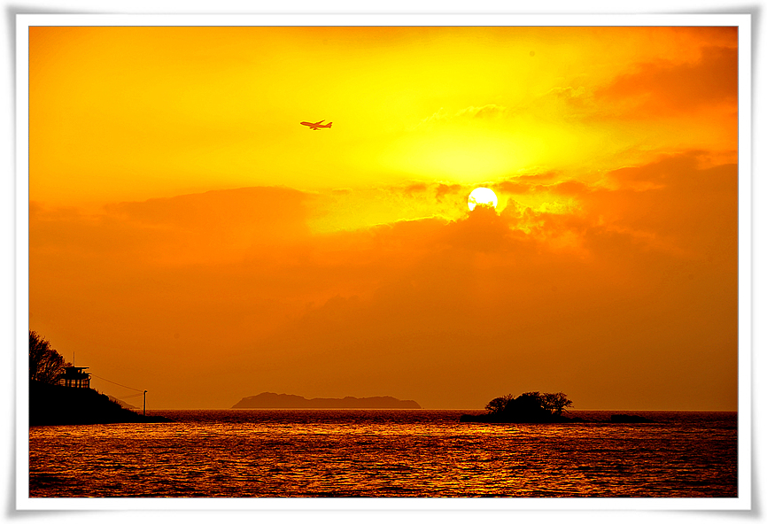 DSC_0433-1.jpg