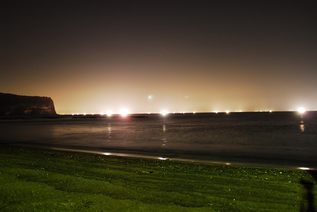 DSC_0208.jpg