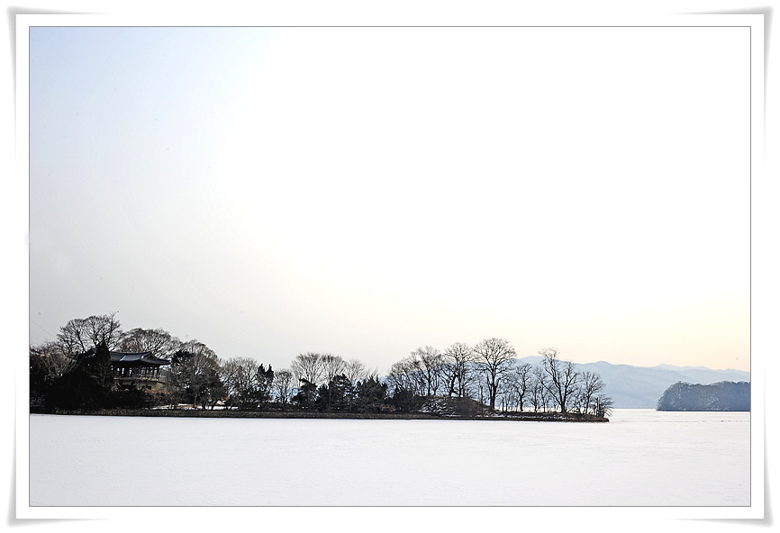 DSC_4652-1.jpg