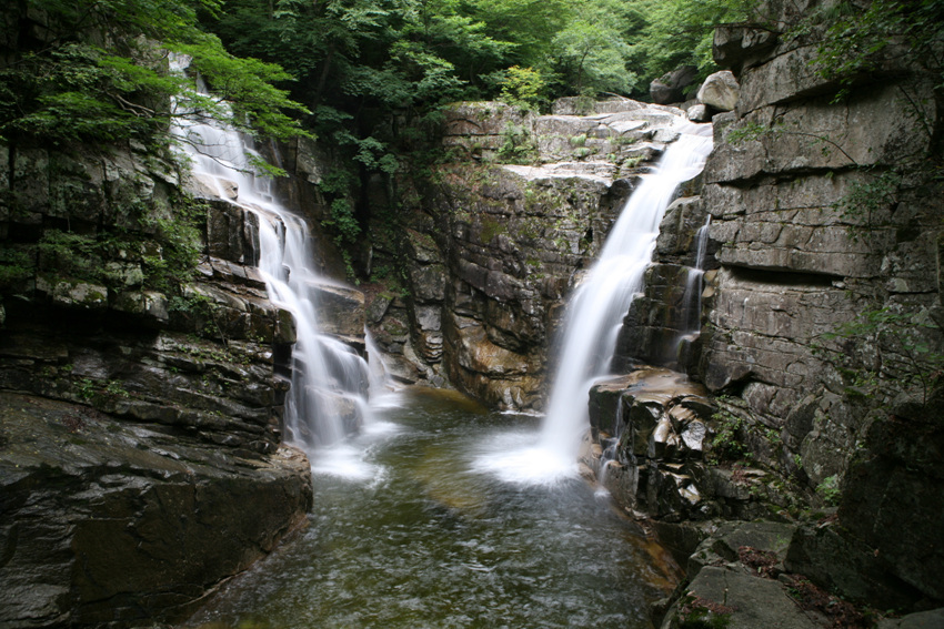 20090726 519.jpg
