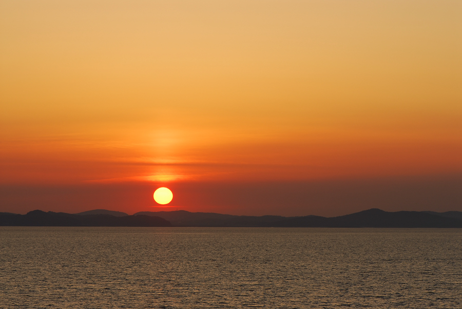 DSC_9800-2.jpg