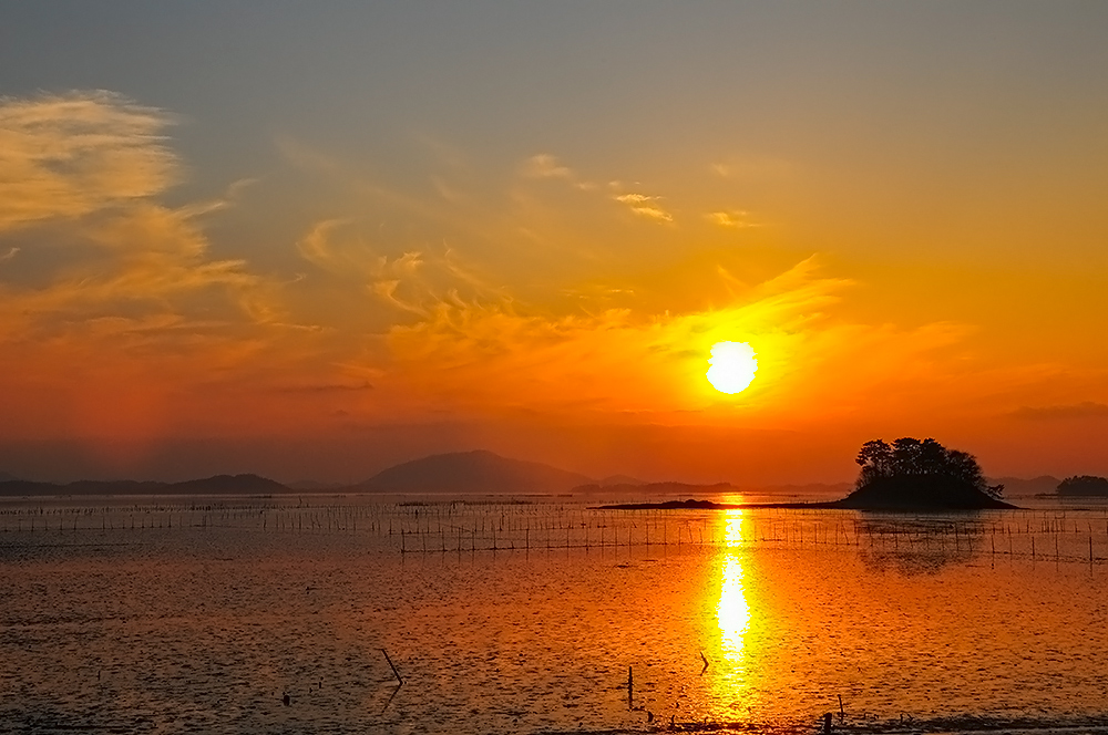 ncncnk_9616.jpg