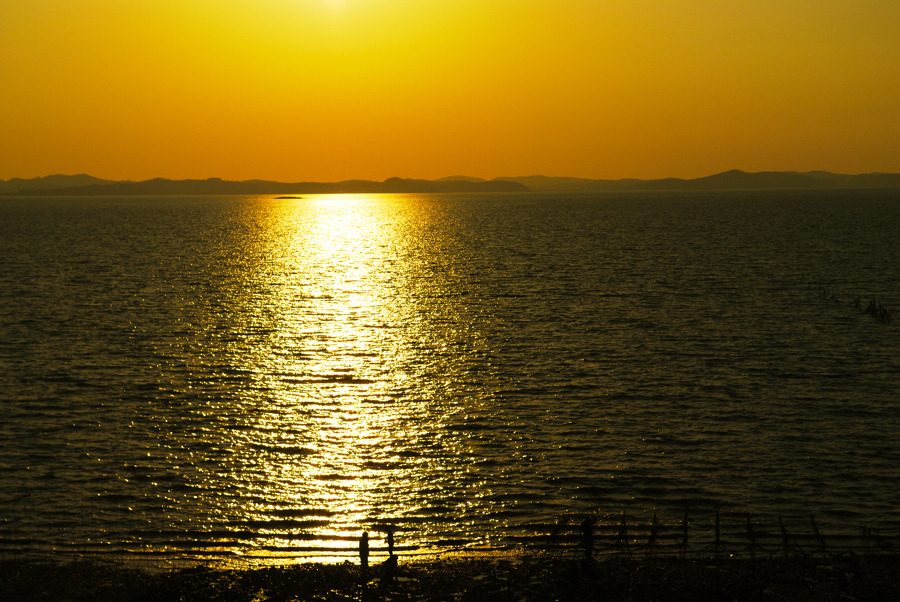 DSC_9754-1.jpg