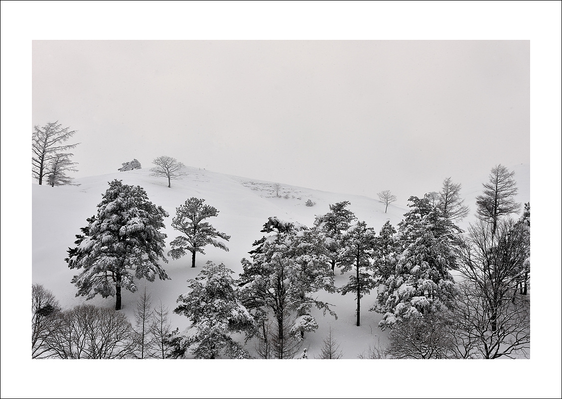 DSC_5470.jpg