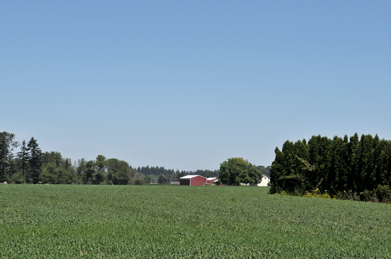DSC_3061.jpg