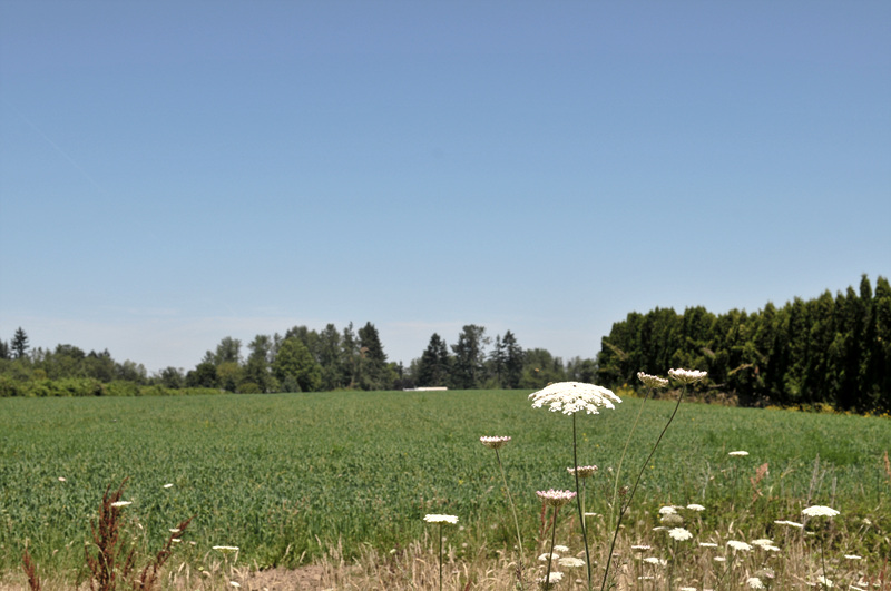 DSC_3049.jpg