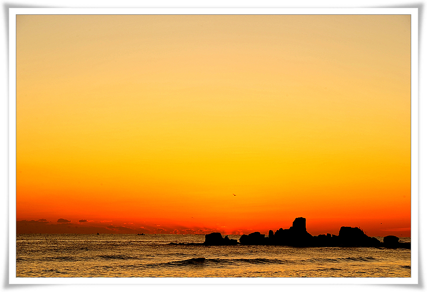 DSC_0538-1.jpg