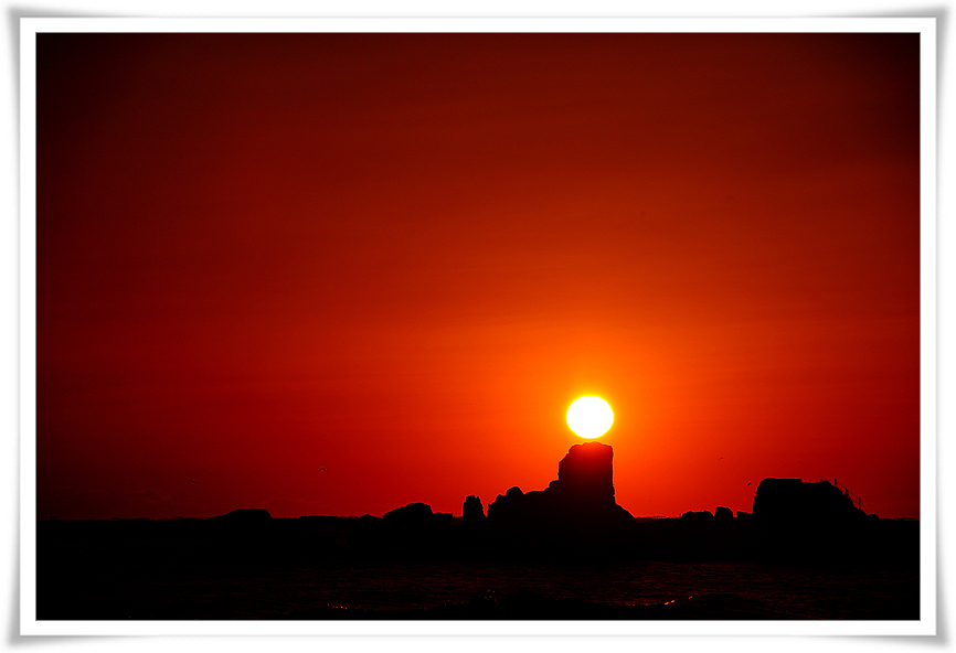 DSC_0595-1.jpg