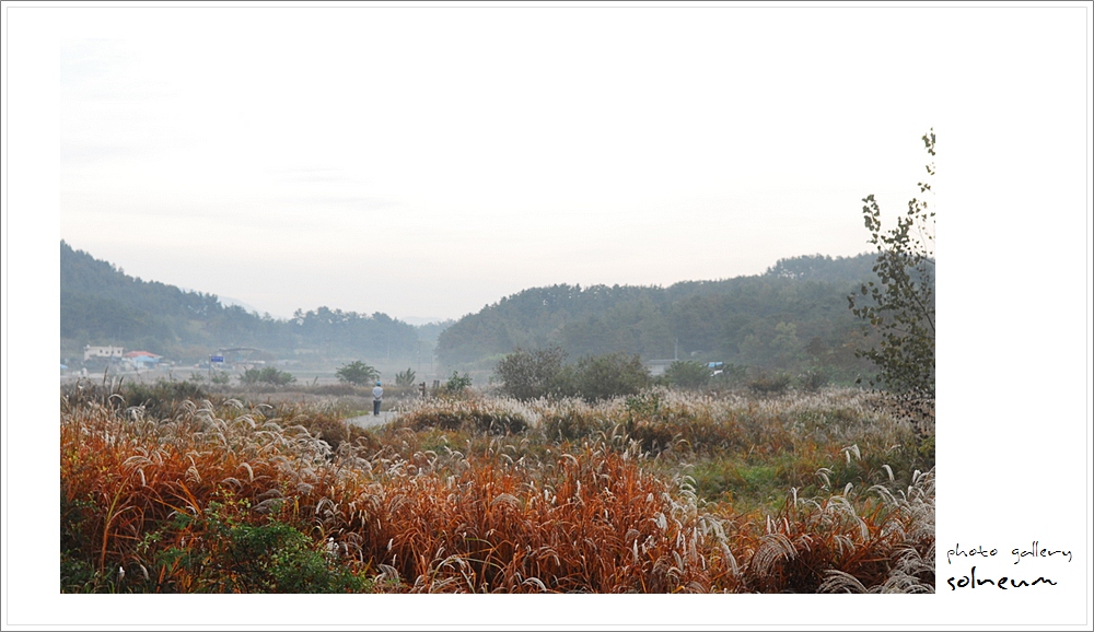 10-043 woopo(10-10-23) 030s.jpg
