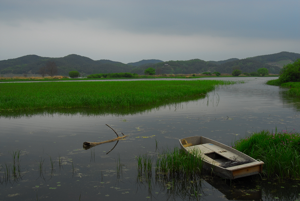 DSC_ 003-2.jpg