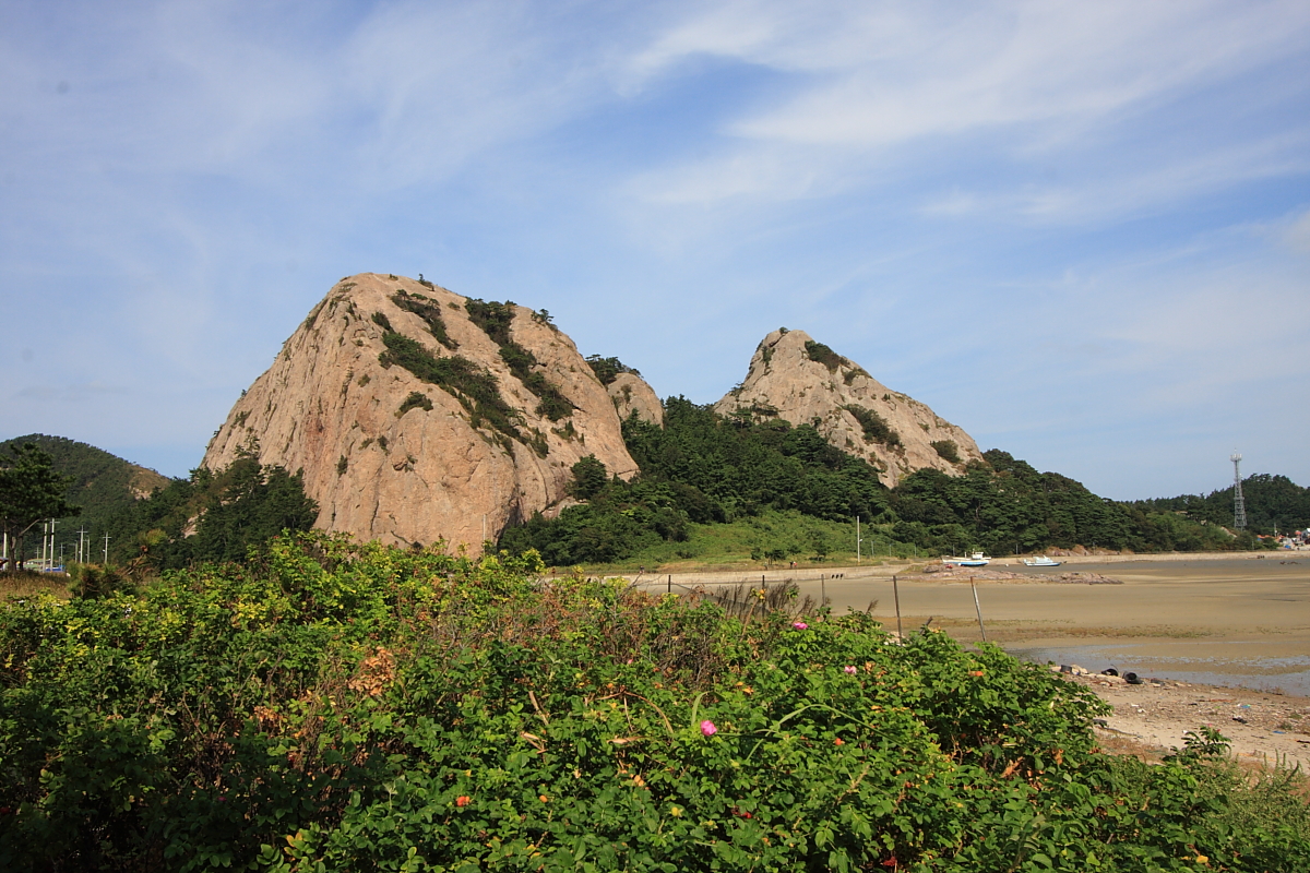 IMG_4520.JPG
