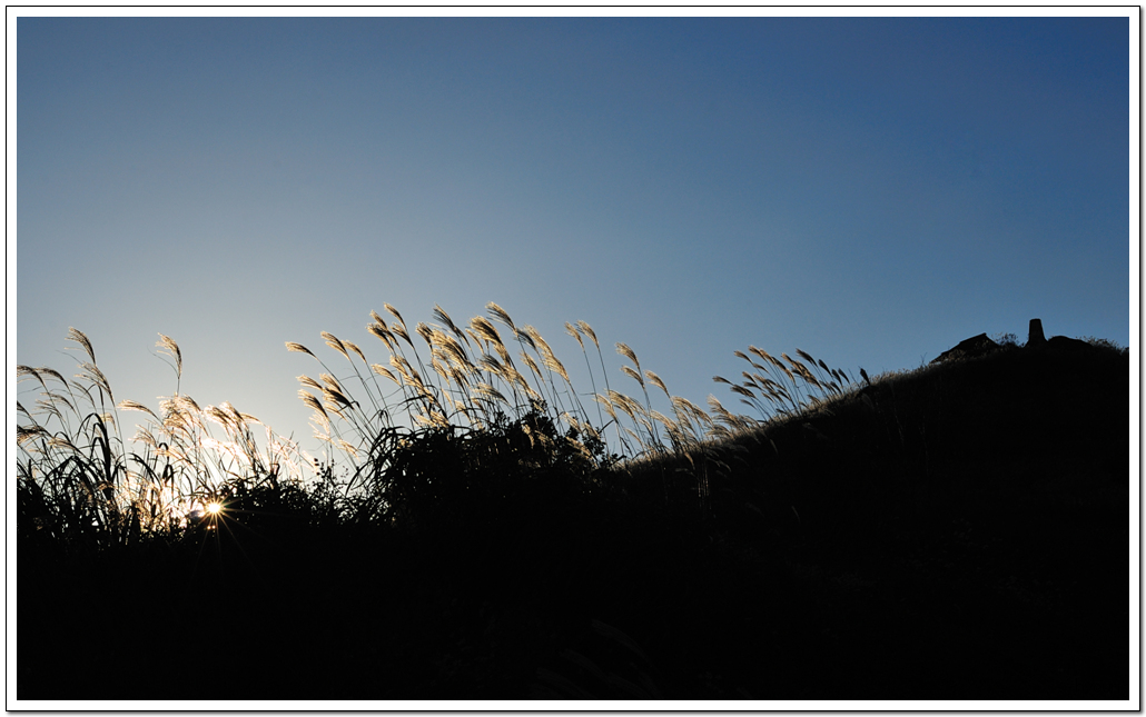 황매산2.jpg